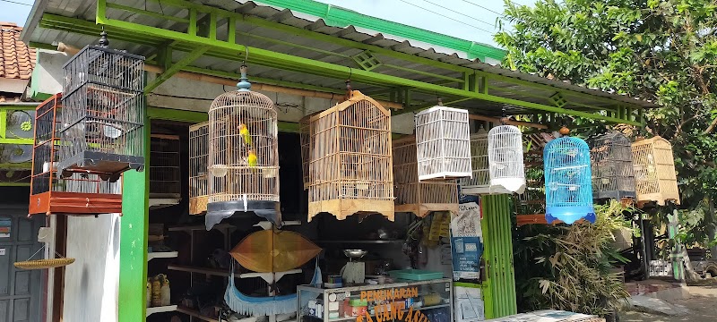 Mengenal Toko Awang Bird: Jantungnya Kebahagiaan Burung Cilacap